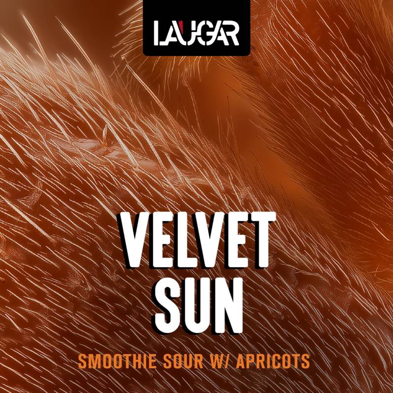 VELVET SUN