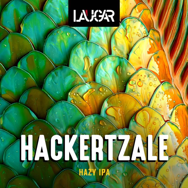 HACKERTZALE mockup